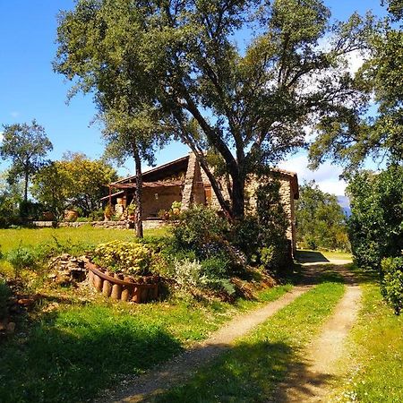 La Simona Casa Rural Perales del Puerto Bagian luar foto