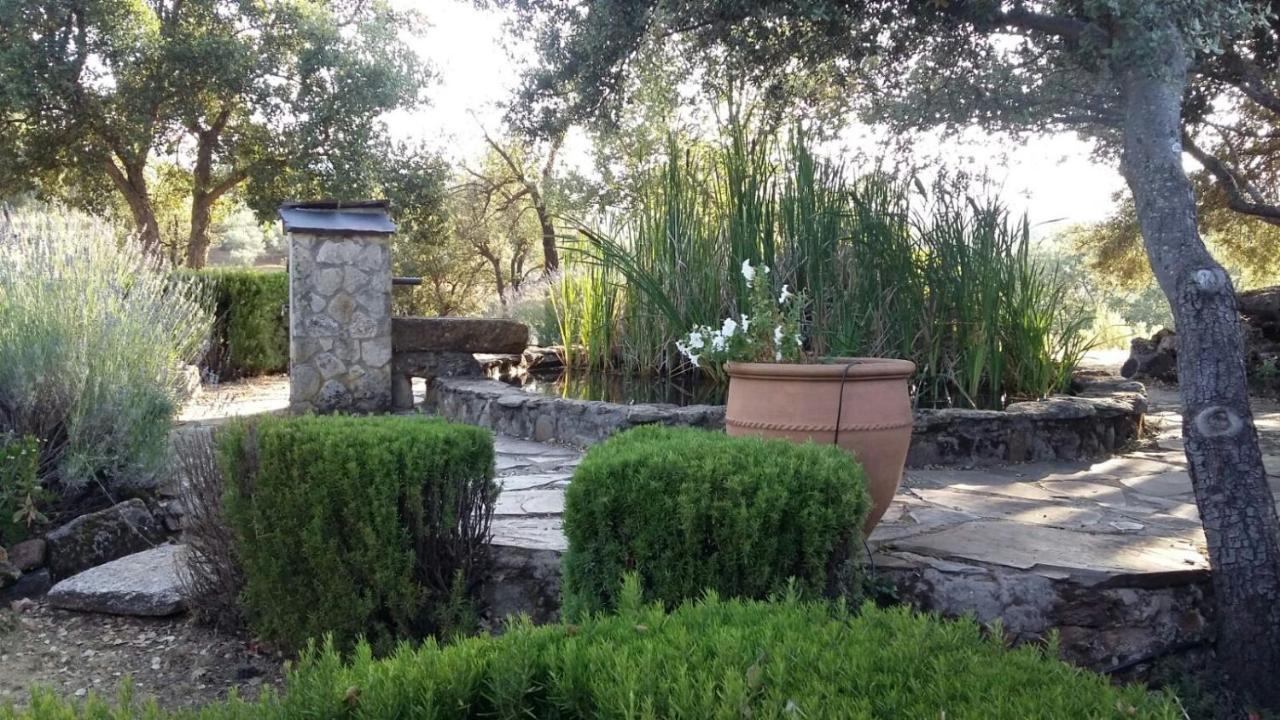 La Simona Casa Rural Perales del Puerto Bagian luar foto