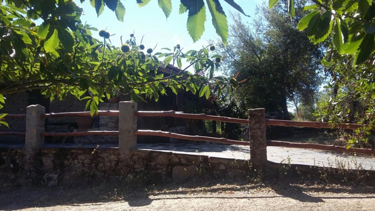 La Simona Casa Rural Perales del Puerto Bagian luar foto