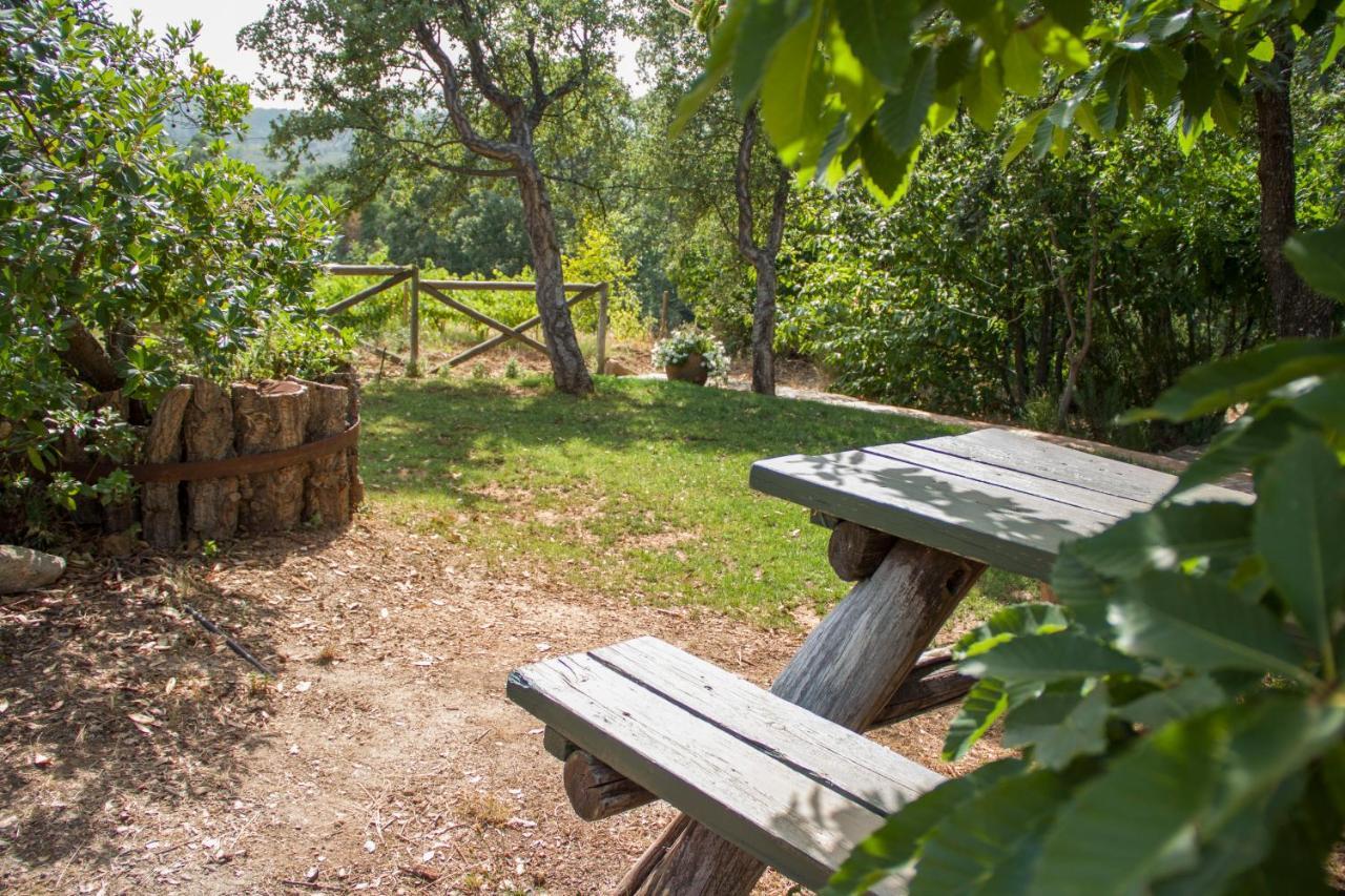 La Simona Casa Rural Perales del Puerto Bagian luar foto