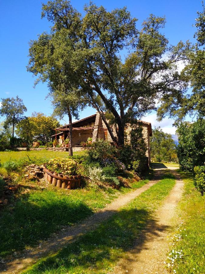 La Simona Casa Rural Perales del Puerto Bagian luar foto