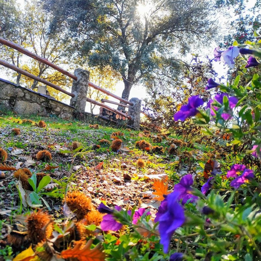 La Simona Casa Rural Perales del Puerto Bagian luar foto