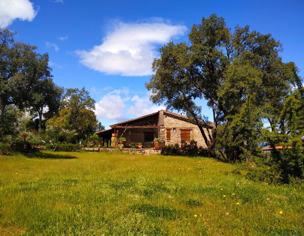 La Simona Casa Rural Perales del Puerto Bagian luar foto