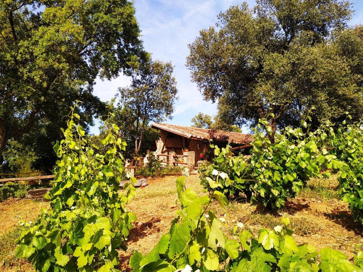 La Simona Casa Rural Perales del Puerto Bagian luar foto